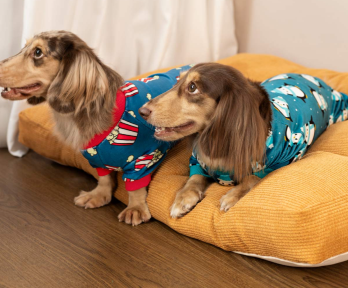 10 Best Dog Pajamas: A Complete Guide to Cozy Canine Sleepwear